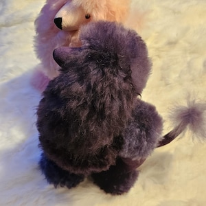 Teila hat ein Foto des gekauften Artikels hinzugefügt