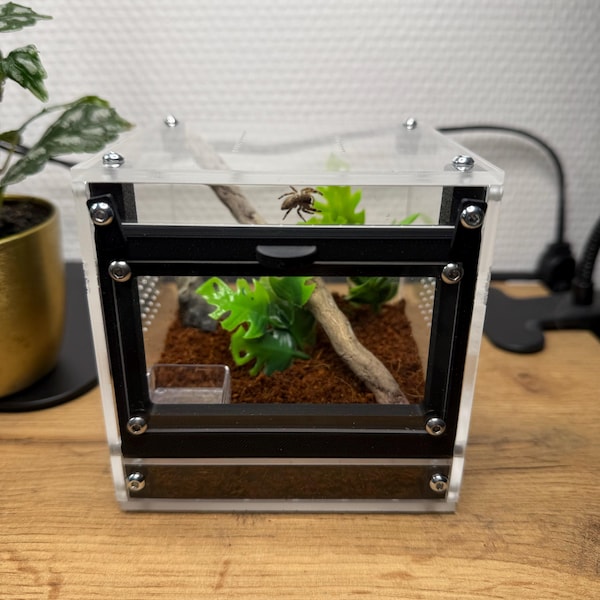 Ant Mini Nest Outworld Combi 5x5 Module Formicaria Ant Supplies ...