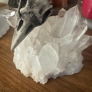 S. added a photo of their purchase