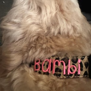 Jeanne added a photo of their purchase