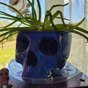 amanda added a photo of their purchase