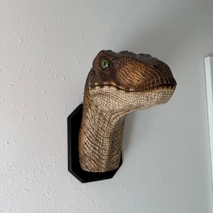 Shawn added a photo of their purchase