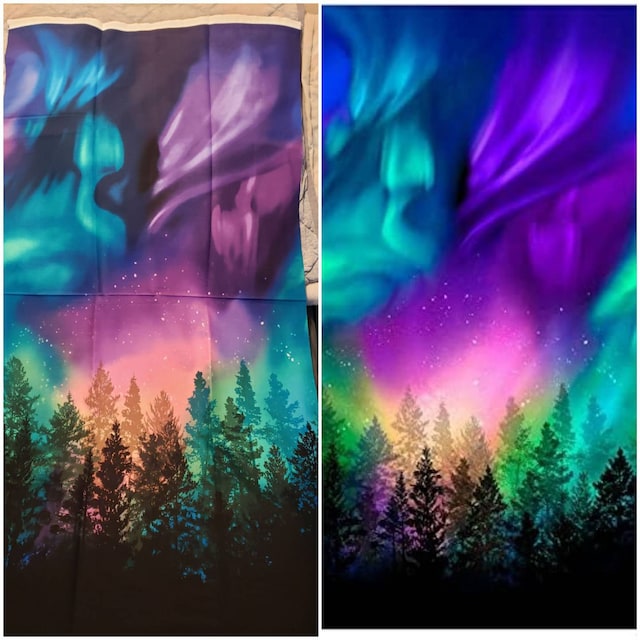 38-kT SOTE ver. AURORA（COLORS：AURORA） Timeless Treasures Aurora - Light over the Forest - 24