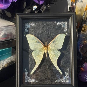 Jessica added a photo of their purchase