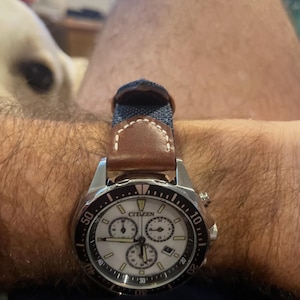 Premium 316L Stainless Steel Shark Mesh Watch Bracelet Strap 18/20/22/24mm Sports