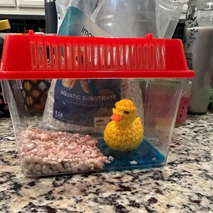 Caitlin added a photo of their purchase