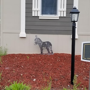 Susan added a photo of their purchase