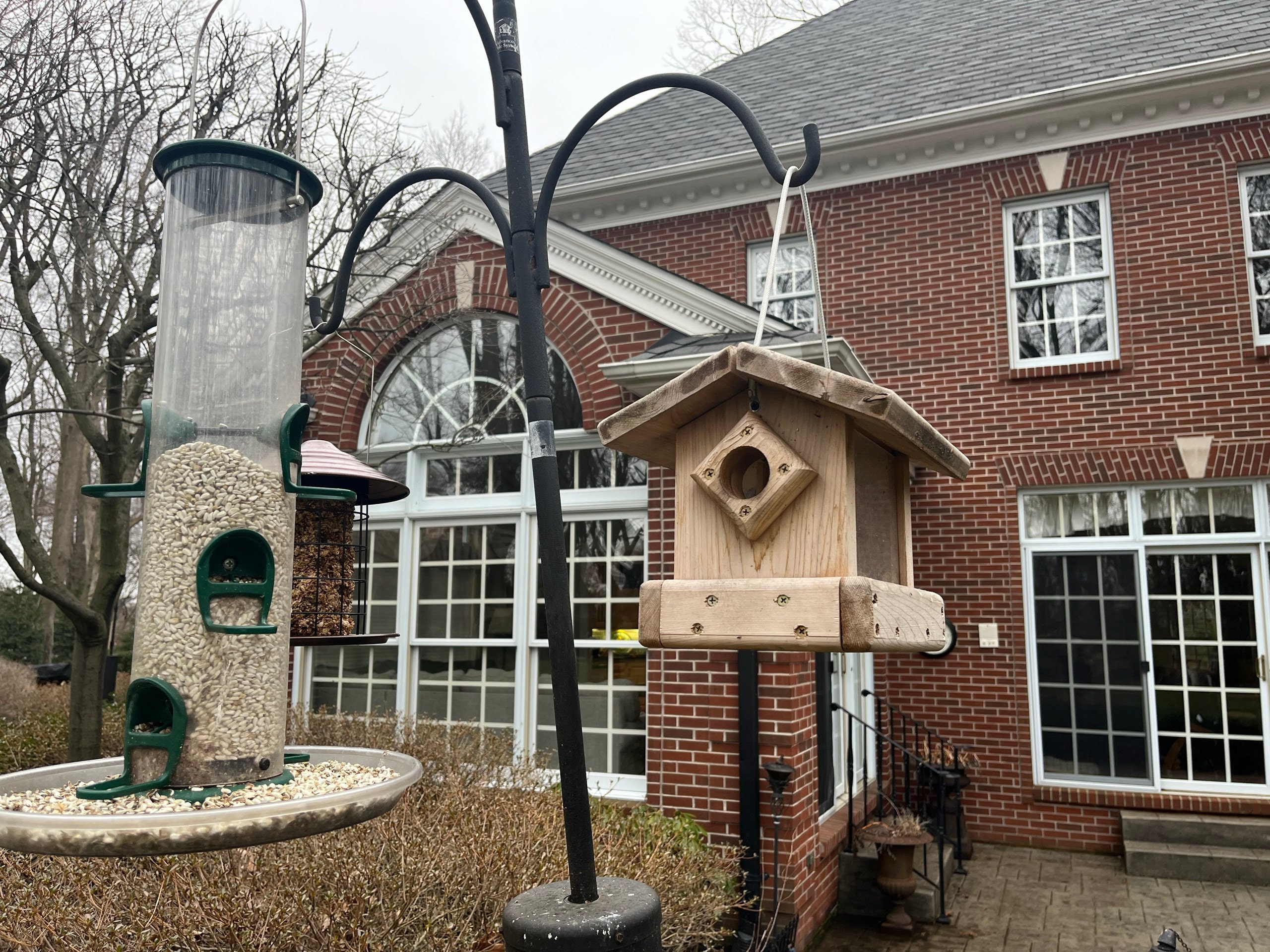 Blue Bird Feeder , Hanging or Pole Mount  Blue Bird Feeder
