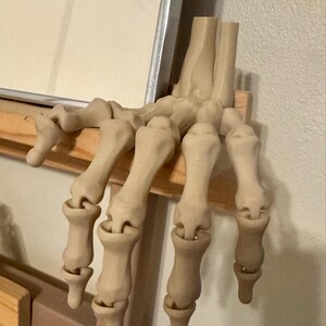 Skeleton Hand Articulated 3D Printed Fidget Bookshelf Decor Gift