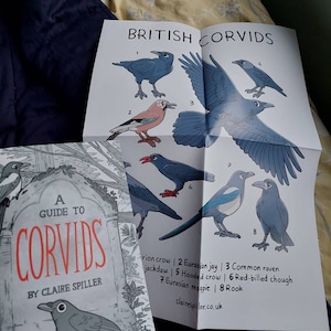 líní added a photo of their purchase