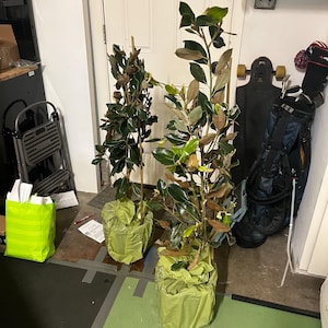 Stu added a photo of their purchase