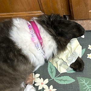 Sandra added a photo of their purchase