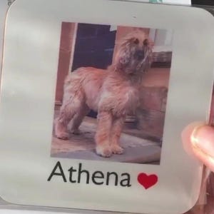Robert added a photo of their purchase