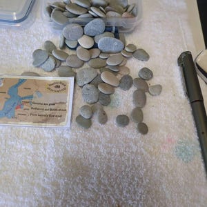 Sue added a photo of their purchase