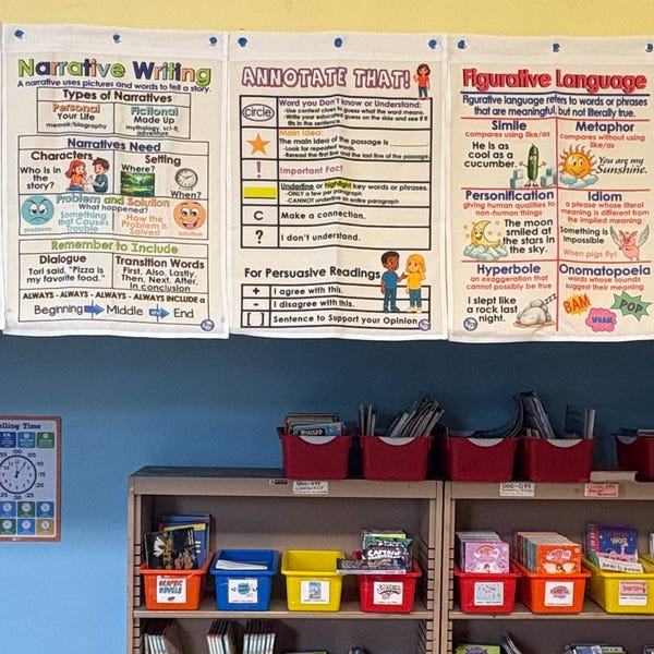 Parts of a Paragraph Anchor Chart: Durable Fabric Classroom Decor - Etsy
