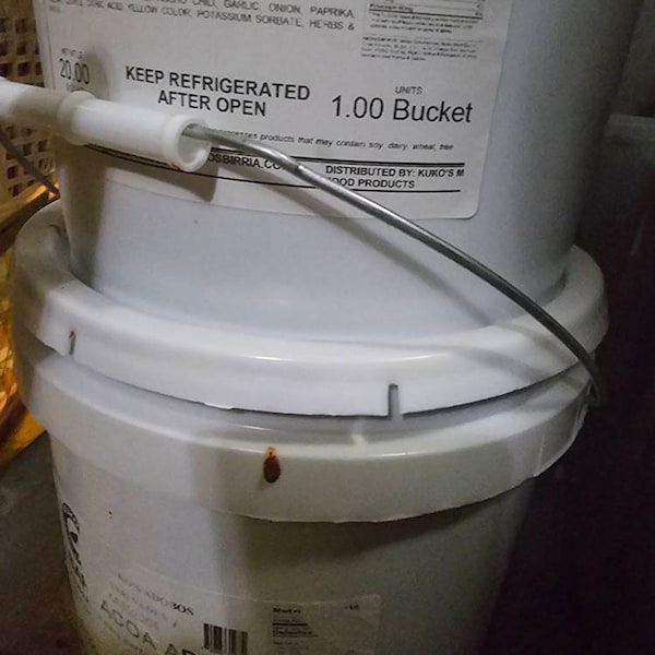 Birria Adobo Marinade Gourmet Style | 1 Gallone Per Italia - Foto 5