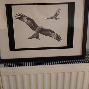 Leigh added a photo of their purchase