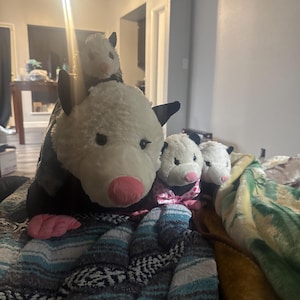 Kevin added a photo of their purchase