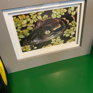 Florida Panther Original Artwork by Artist Sherrie Spencer