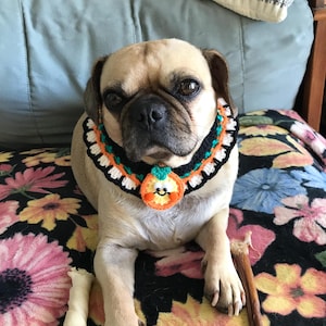 Jill added a photo of their purchase