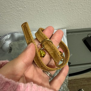 Taylor added a photo of their purchase