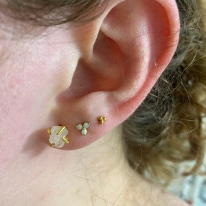 Brooke added a photo of their purchase