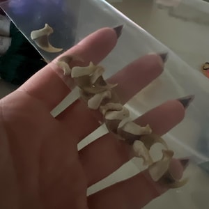 Meghan added a photo of their purchase