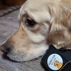 Pin on WeLoveGoldenRetrievers