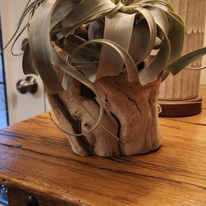 Jamie added a photo of their purchase