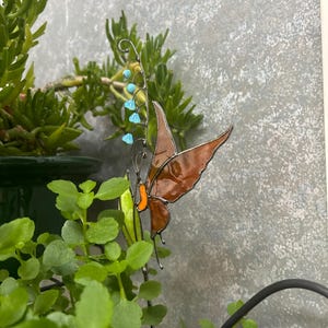 Jenny added a photo of their purchase