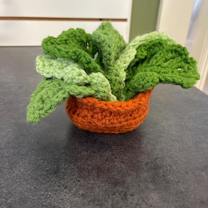 Kate added a photo of their purchase