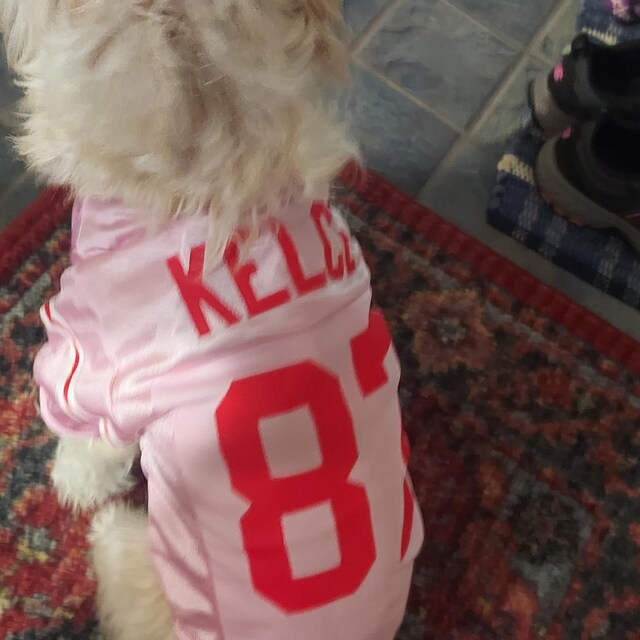 Kelce Dog Football Jersey (jerseys Run Small Please Measure so You