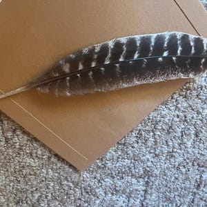 casey added a photo of their purchase