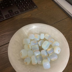 Steve added a photo of their purchase
