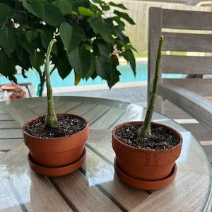 John added a photo of their purchase