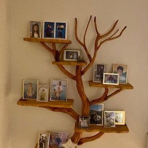 Patti added a photo of their purchase