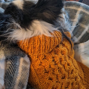 Jacque added a photo of their purchase