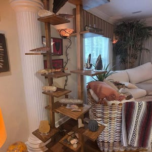 Terry added a photo of their purchase