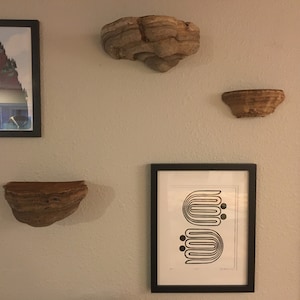 Bailey added a photo of their purchase