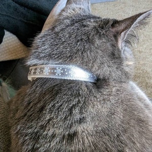 Jen added a photo of their purchase