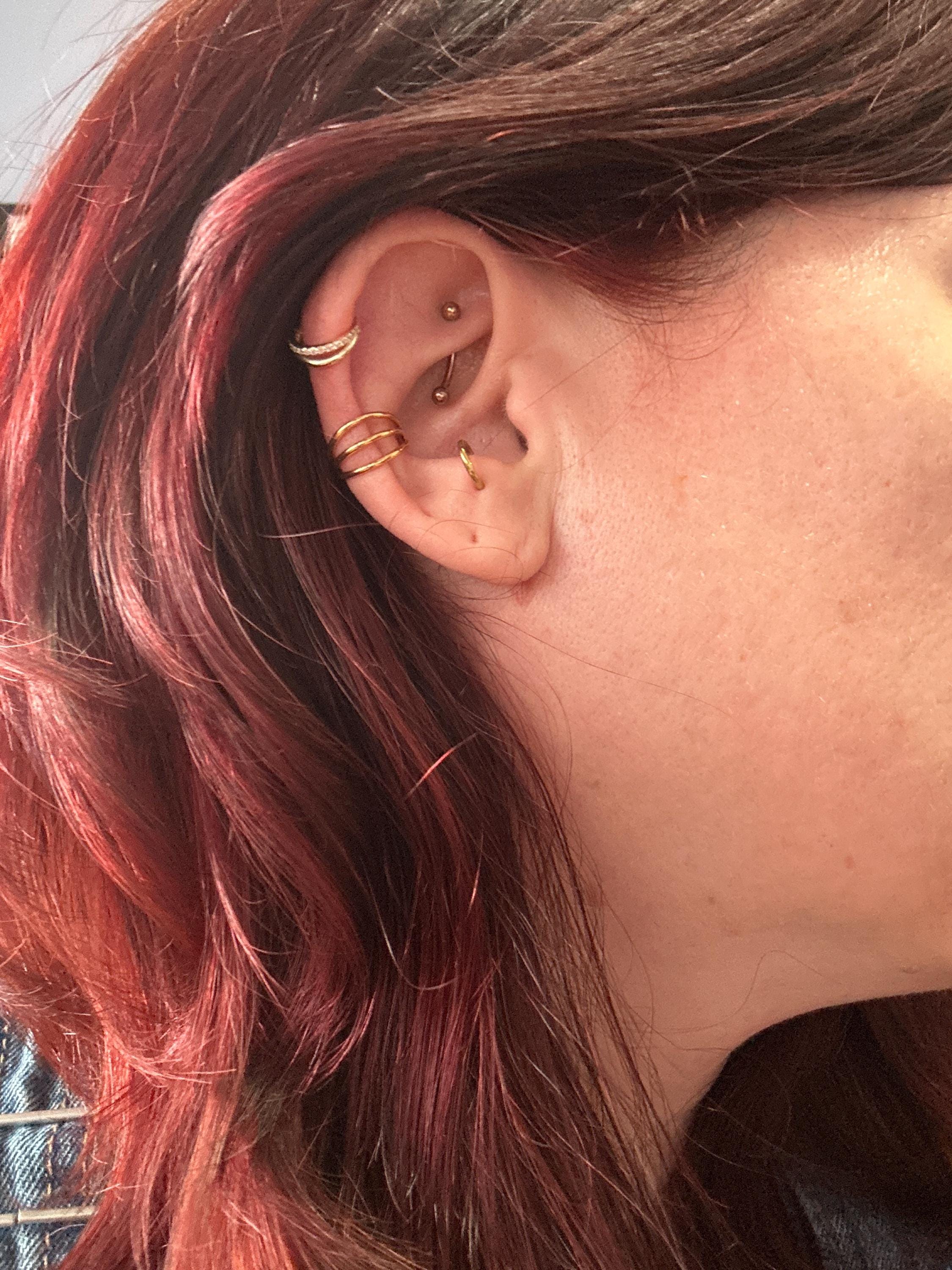 Paved Double Clicker Hoops, Nose Ring, Conch Hoop, Hoop Earring, 16G/18G Septum Hoop • Daith Hoop • Tragus Hoop • Rook Hoop
