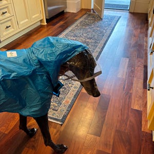 Kate added a photo of their purchase