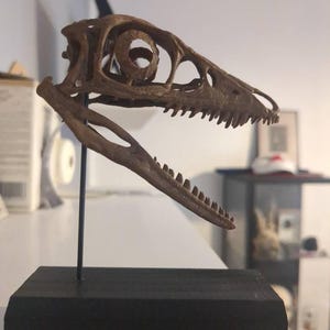 Lucas a ajouté une photo de son achat