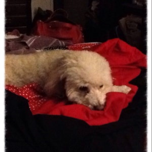 April さんが購入した商品の写真を追加しました