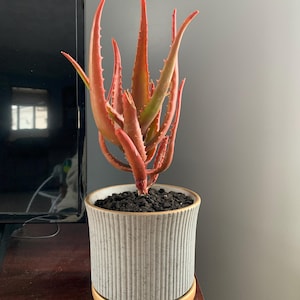 Jennifer added a photo of their purchase