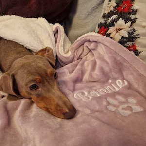 Evie added a photo of their purchase