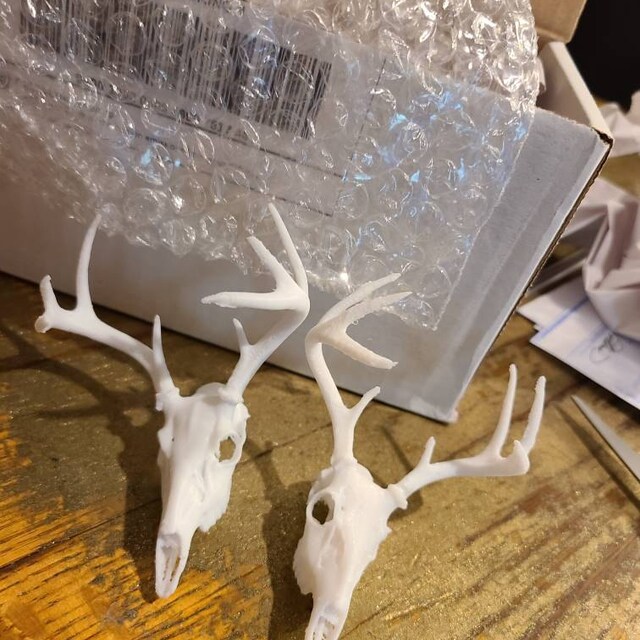 3Dプリントされたミニ鹿の頭蓋骨 - Etsy 日本