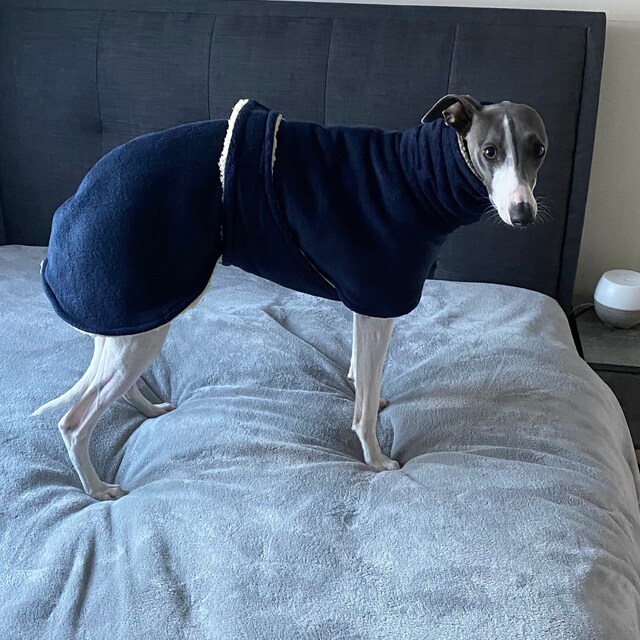 Whippet dog coats by GidgetWhippetCoats on Etsy