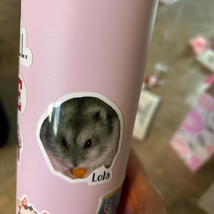 Lauri added a photo of their purchase