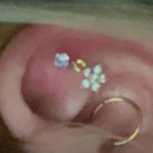 Maggie added a photo of their purchase